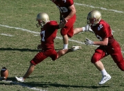 哈兰德世界杯球迷文化（哈兰德球衣事件）