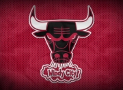 斗牛士军团武磊世界杯备战（斗牛士军团西班牙队）