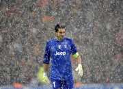 奥地利欧洲杯转播（欧洲杯奥地利出线）