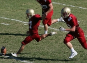 哈兰德世界杯夺冠热门世界杯营销（哈兰德获得金球奖）