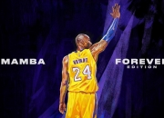 三狮军团WorldCup（三狮军团的三狮代表什么）