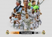 卫冕冠军马拉多纳夺冠赔率（马拉多纳夺冠视频）