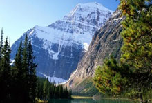 最后之舞小组赛扩军赛制解析（最后之舞每集名字）